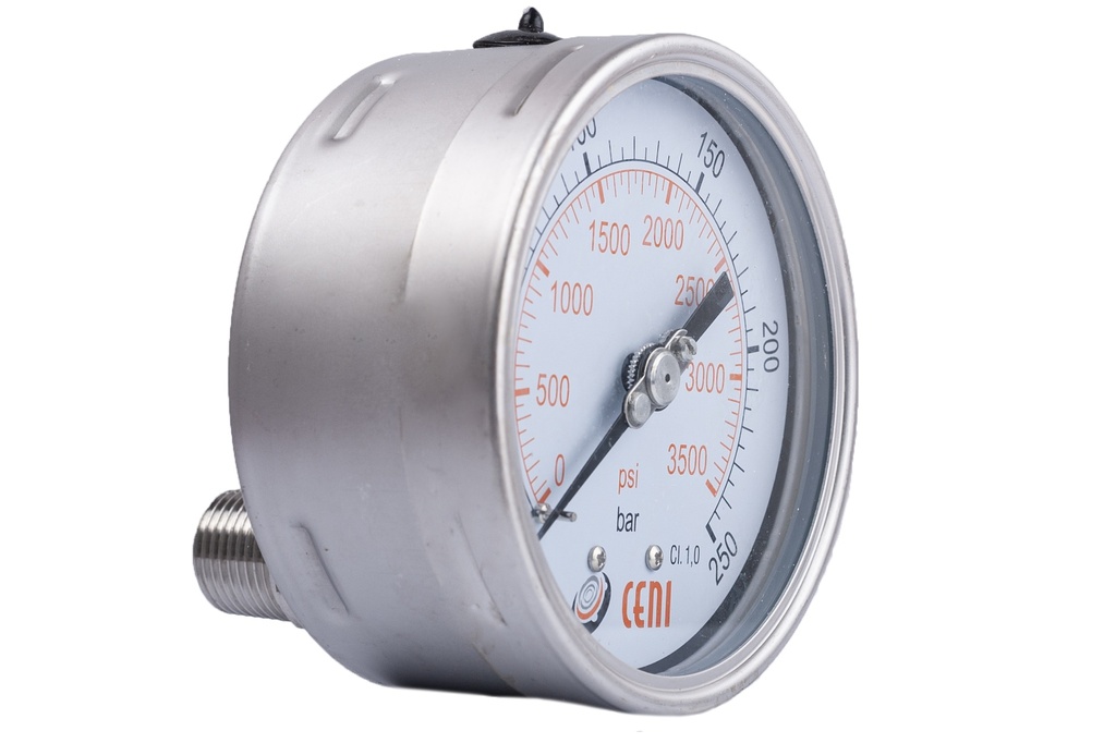 72Ø100 P 1/2"NPT 250 Bar/Psi