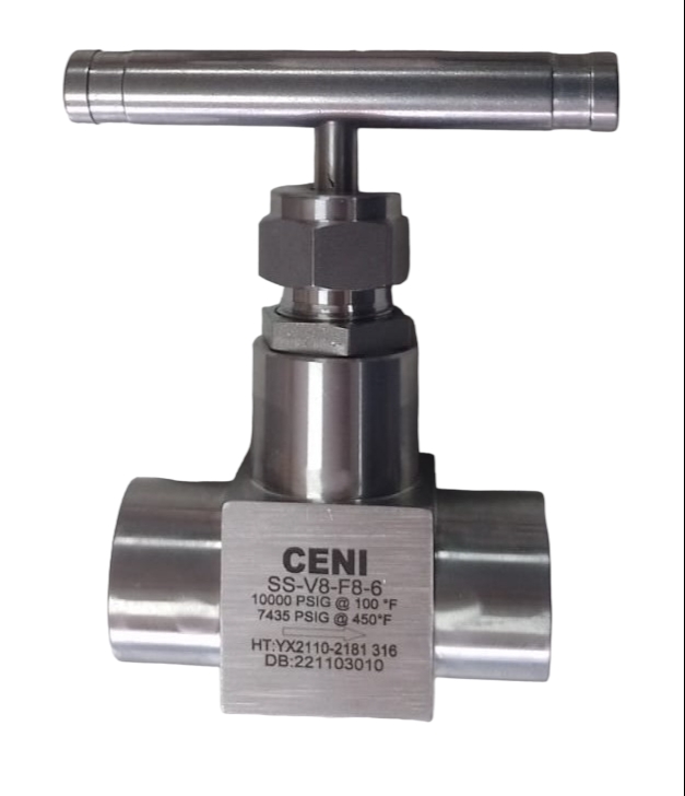 VALVULA AGUJA SS-V8-F8-6  (H-H)